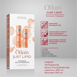 {{photo.Alt || photo.Description || 'Estel - Набор Otium Just Lipid Липидное восстановление: Шампунь для волос, 250 мл + Бальзам для волос, 200 мл'}}